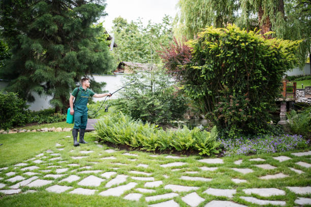 Best Local Pest Control Services  in Lincolnwood, IL