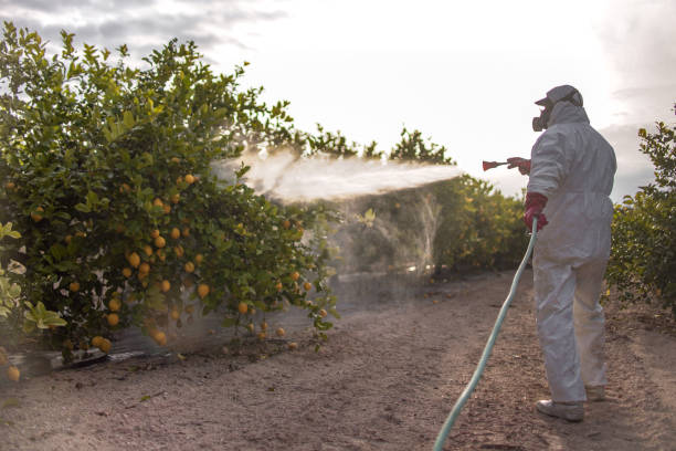 Best Commercial Pest Control Services  in Lincolnwood, IL