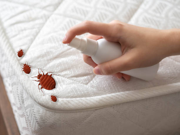 Best Pest Inspection Near Me  in Lincolnwood, IL