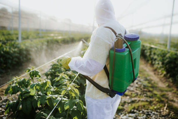 Best Flea Control Services  in Lincolnwood, IL